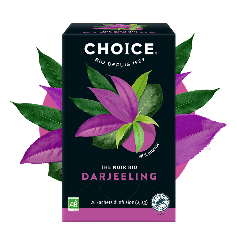 Choice -- Thé bio darjeeling - 20 sachets